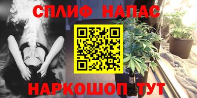 сатива Краснознаменск