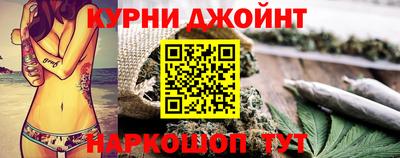 сатива Краснознаменск