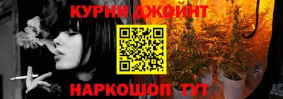 сатива Краснознаменск