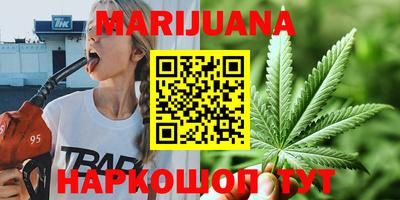 сатива Краснознаменск